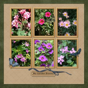 My Garden Blooms