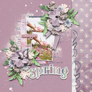 spring