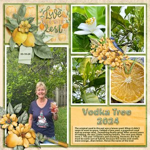 Vodka Tree 2024