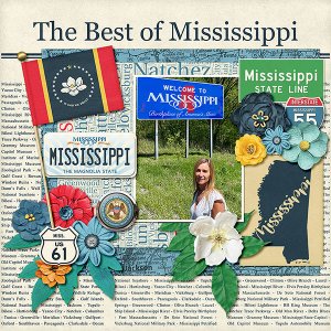 Mississippi State Line