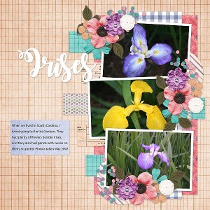 Irises