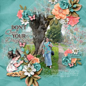 Don't Quit Your Daydreams