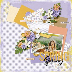 Summer Picnic