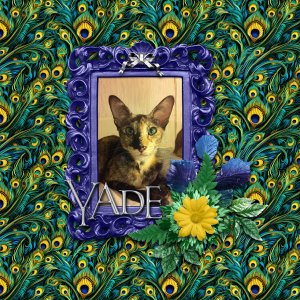 Yade