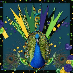Peacock