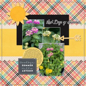 Lantana 10-5-23