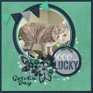 My Lucky Charm