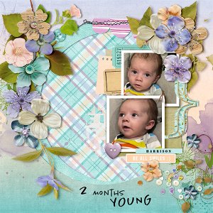 2 Months Young