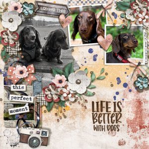 Life Is Better With Dogs