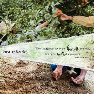 Quote of the Day