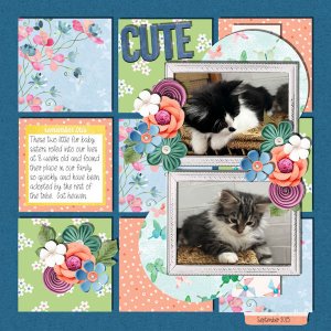 Fur babies