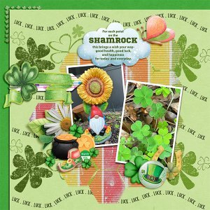 Shamrock