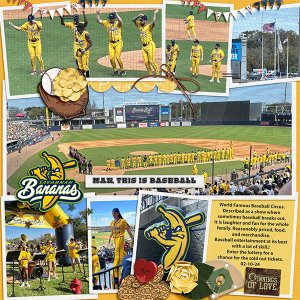 Savannah Bananas 2024 Tampa