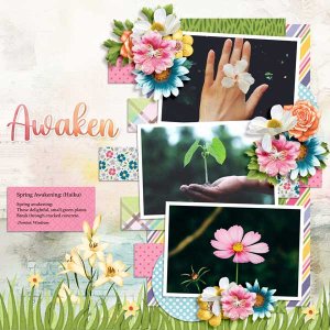 spring-awakening-megakit-Ti