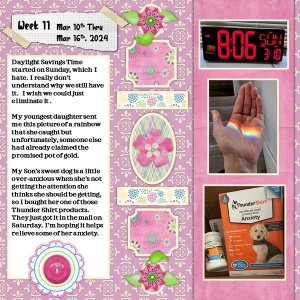 Project 365 Challenge - Week #11