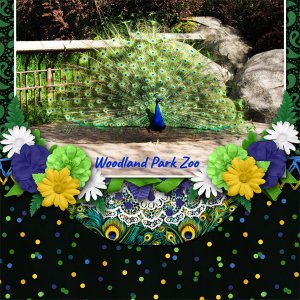 Woodland Park Zoo