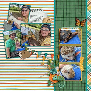 2023 Company Picnic - Petting Zoo