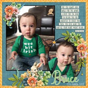 Irish Bruce