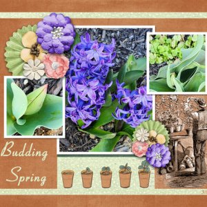 Budding Spring
