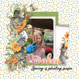Spring planting