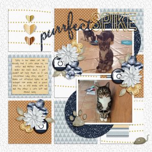 Purrfect Spike