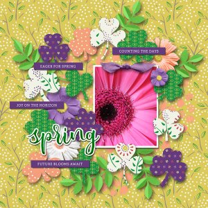 Future Blooms Await