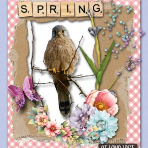 Spring