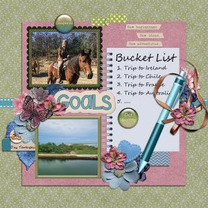 Bucket List