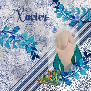 Xavier
