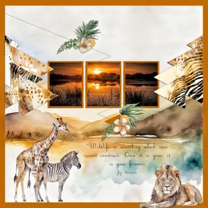 Wild life