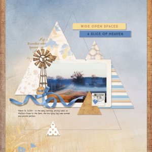 Triangle Love