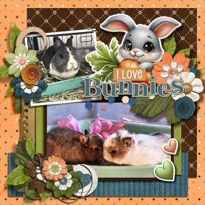 Coworkers Bunnies