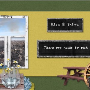 rocks to pick