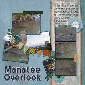 manatee overlook