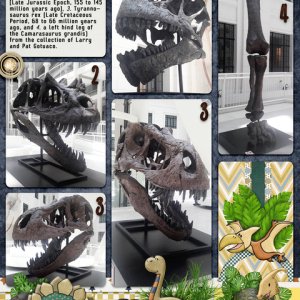 museum