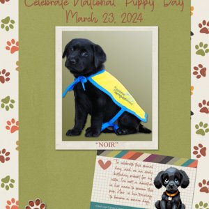 Celebrate National Puppy Day