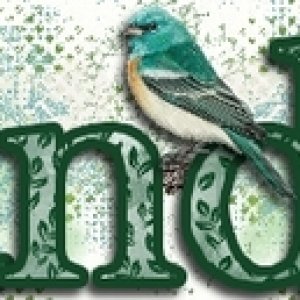 Birds 3-24