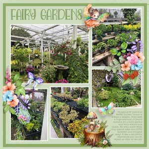 Fairy Garden