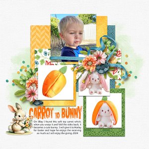Carrot to Bunny