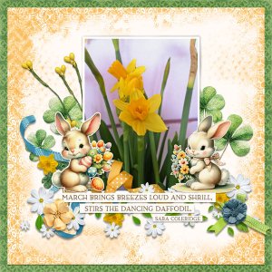 Daffodil