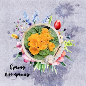 spring