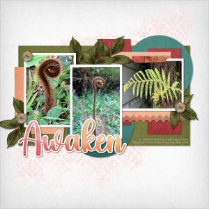 WA March 2024: Awaken