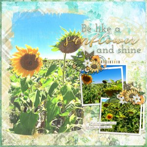 Mar24 PerfectlyPaired