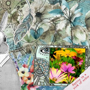 ms-mixedmedia