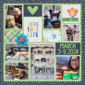 March 3-9, 2024