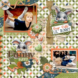 Funny Bunny