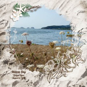 Netarts Bay