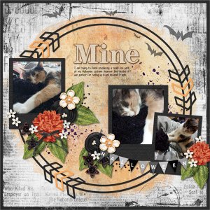 Mine