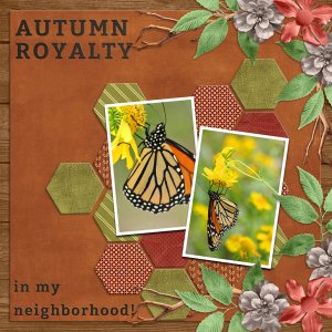 AUTUMN ROYALTY in my neighborhood!