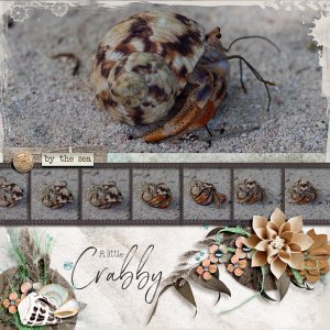 A Little Crabby